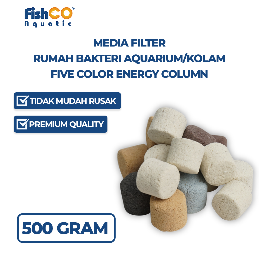 500gram