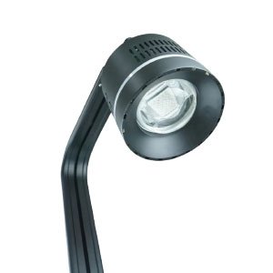 Lampu