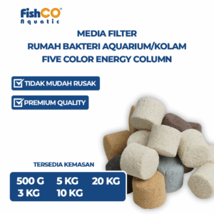 Media Filter Aquarium Five Color Energy Column
