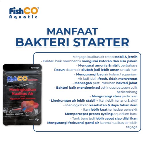 id-11134207-822wp-mm8m02saq70g53