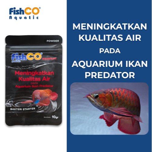 id-11134207-822ws-mm8m02saj668e5