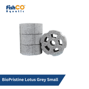 Rumah Bakteri BioPristine Lotus Grey Small Bacteria House Japan