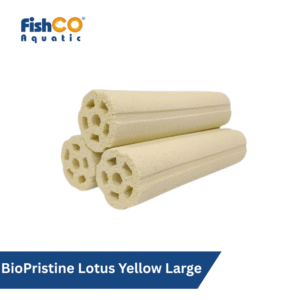 Fishco Rumah Bakteri Lotus Yellow Large Bacteria House Japan