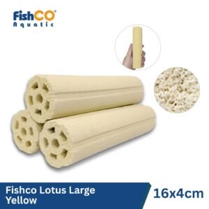 Fishco Rumah Bakteri Lotus Yellow Large Bacteria House Japan