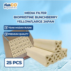 Fishco Rumah Bakteri Biopristine Bunchberry Yellow/Large Japan 25pcs