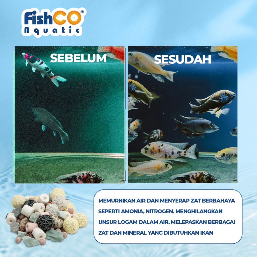 id-11134207-7rasi-m26e9qfr3ki206