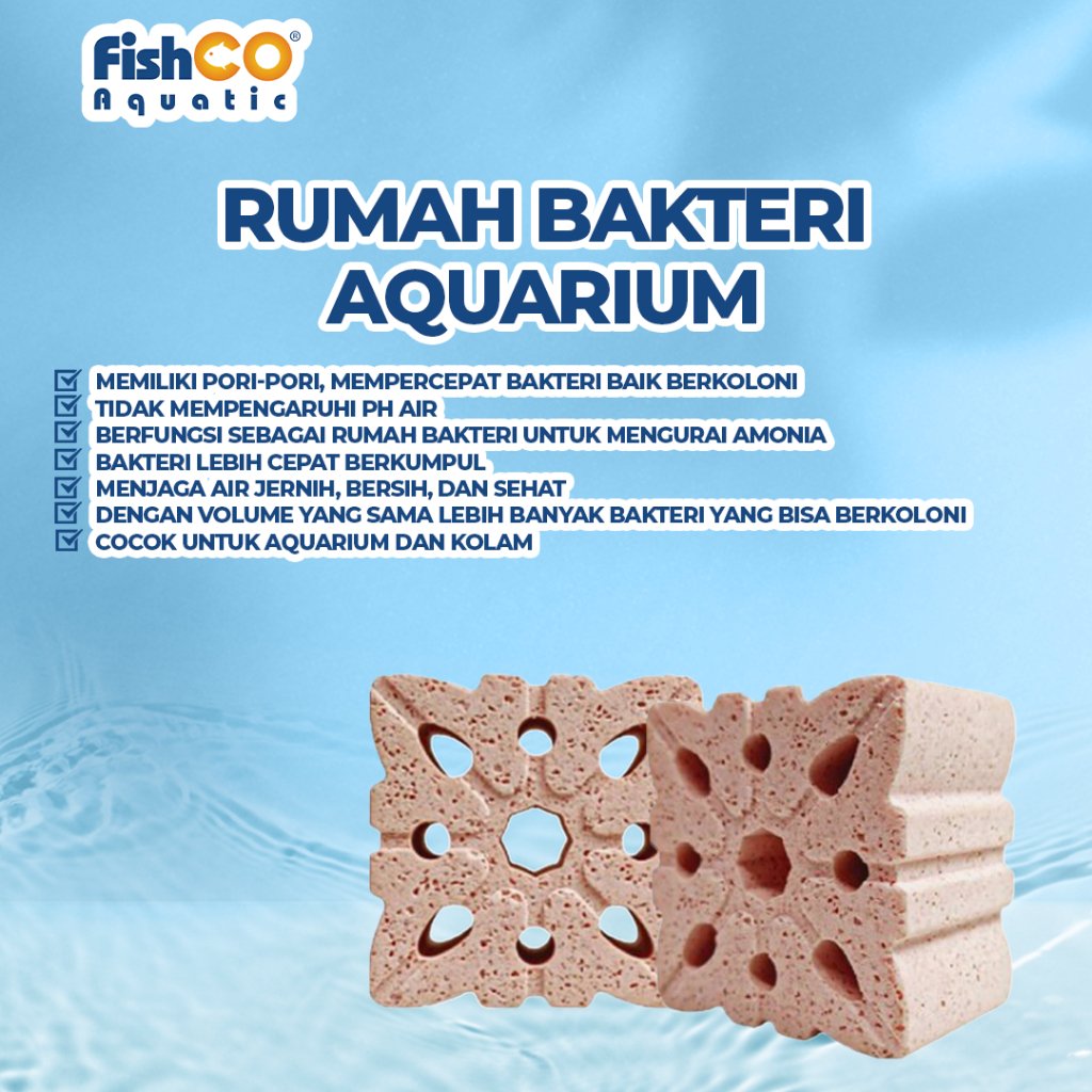 id-11134207-7rbk1-m6cb9vl0r7k604