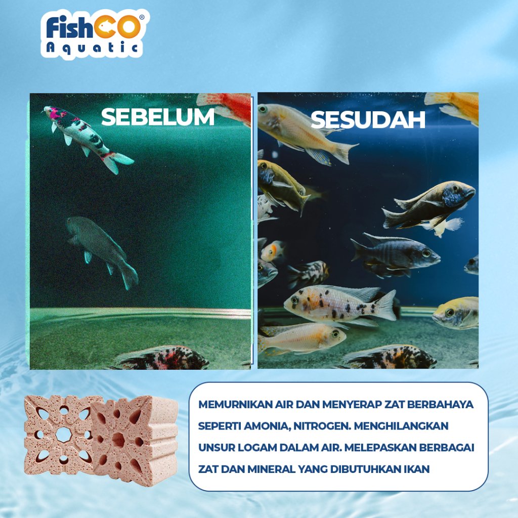 id-11134207-7rbk4-m6cb9vl0sm4m8c