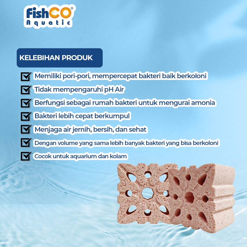 id-11134207-7rbk5-m6cb9vl0wttye3