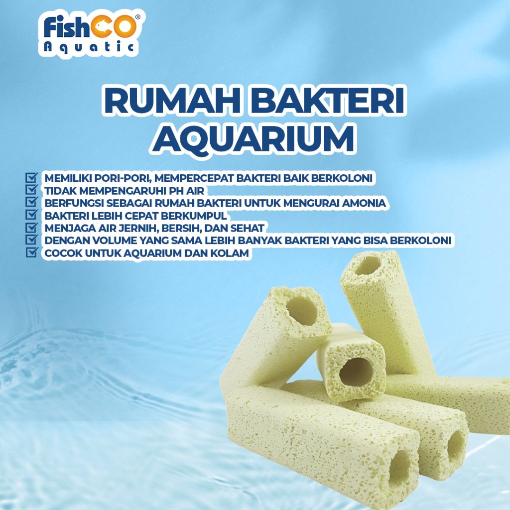 id-11134207-7rbk6-m6ci69hqrpuge0