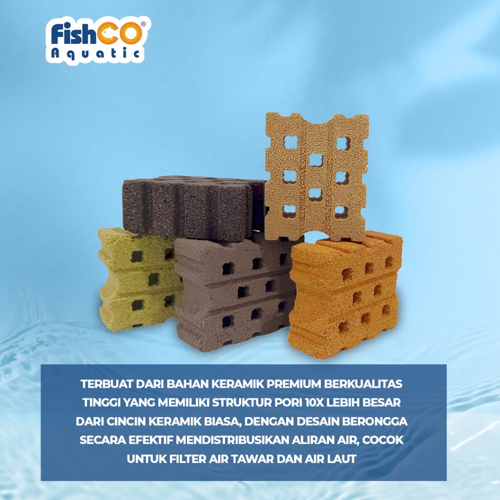 id-11134207-7rbk7-m67qcr6xm4ow31