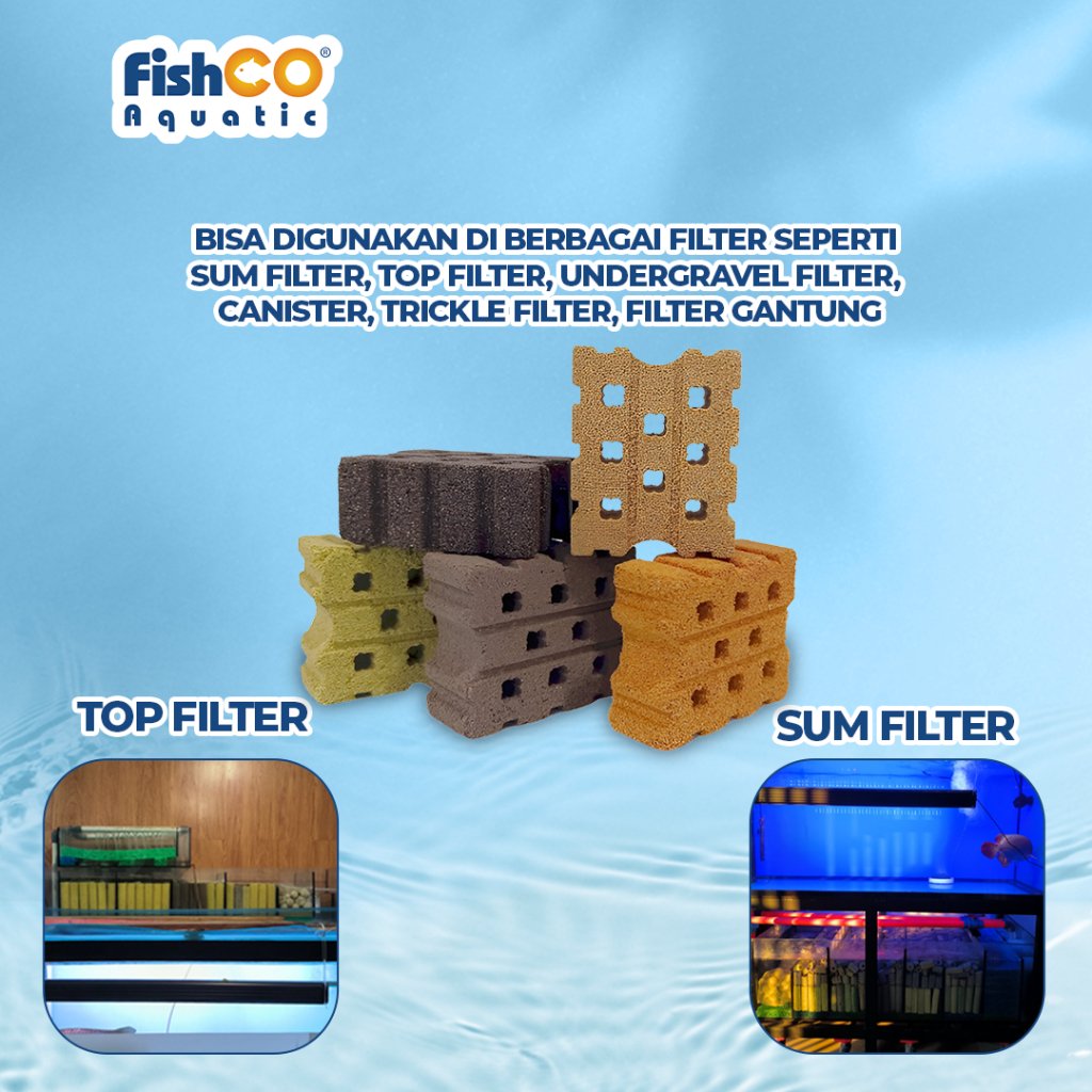 id-11134207-7rbk9-m67qcr6xqce828