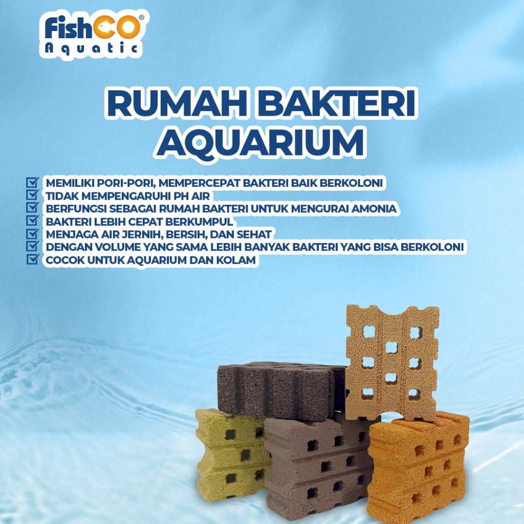 id-11134207-7rbka-m67qcr6xoxts56