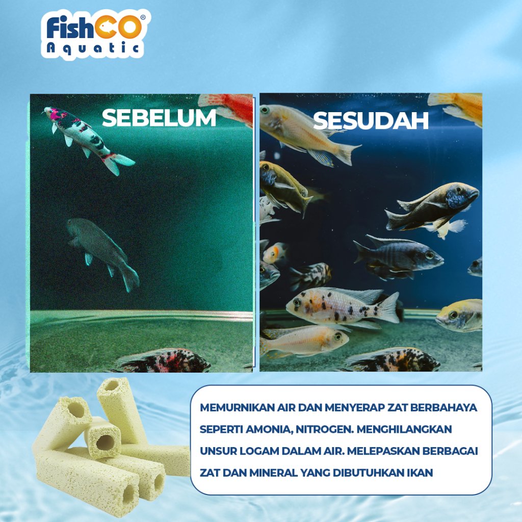 id-11134207-7rbka-m6ci69hquizcca