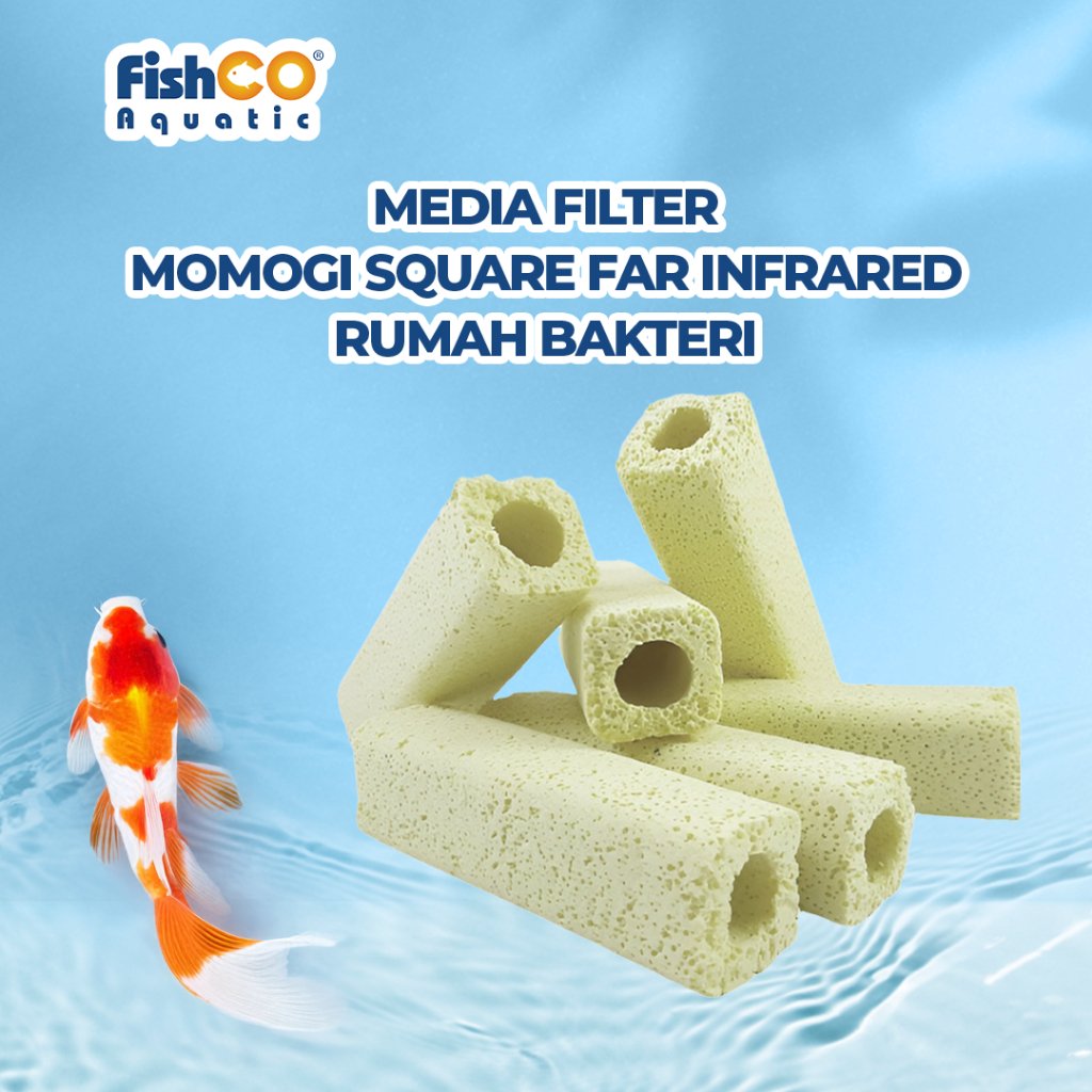 id-11134207-7rbkc-m6ci69hr1jtk0f