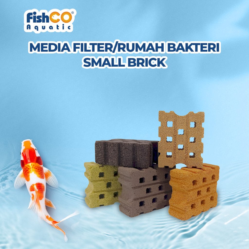 id-11134207-7rbkd-m67qcr6xnj9c14