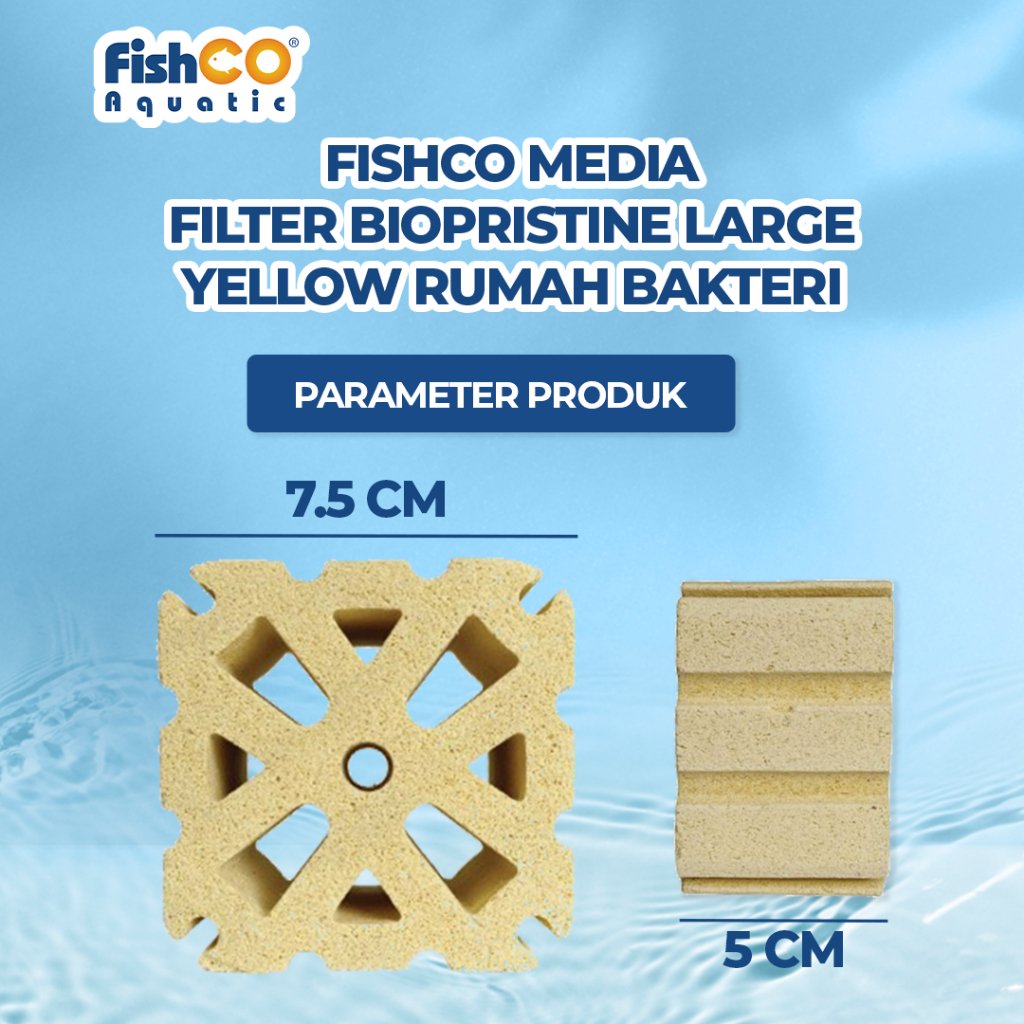 id-11134207-81ztd-mf2etfv08emga5