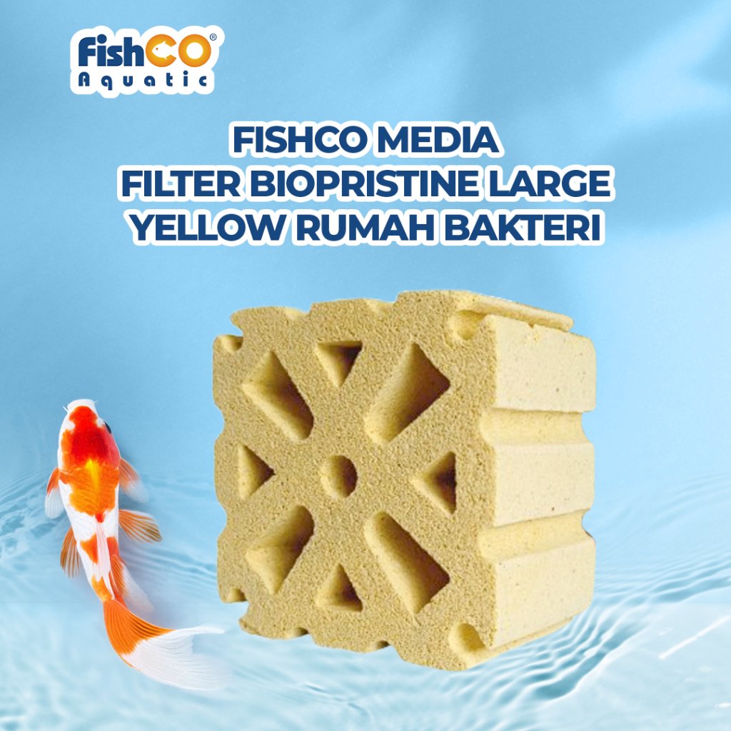 id-11134207-81zth-mdvsa90styisb1