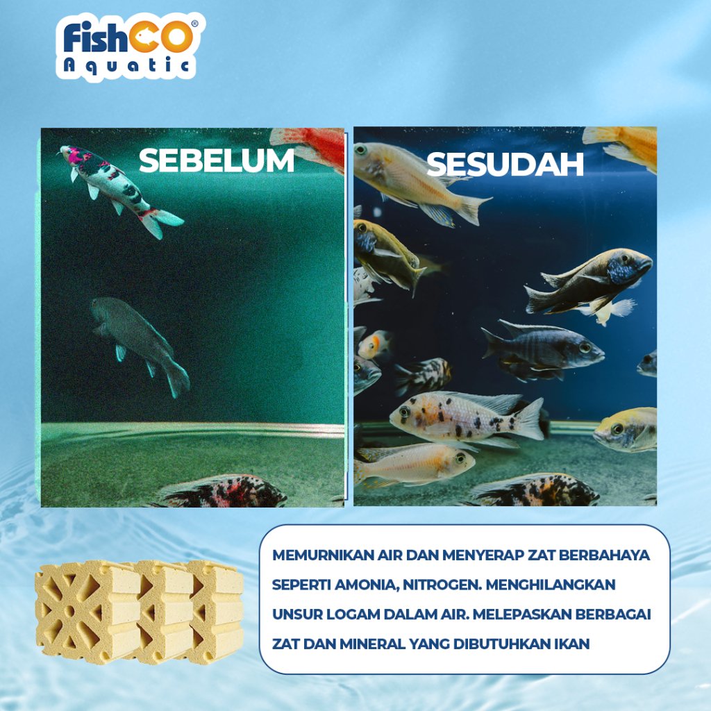 id-11134207-81ztp-mdvsa90smxokf3