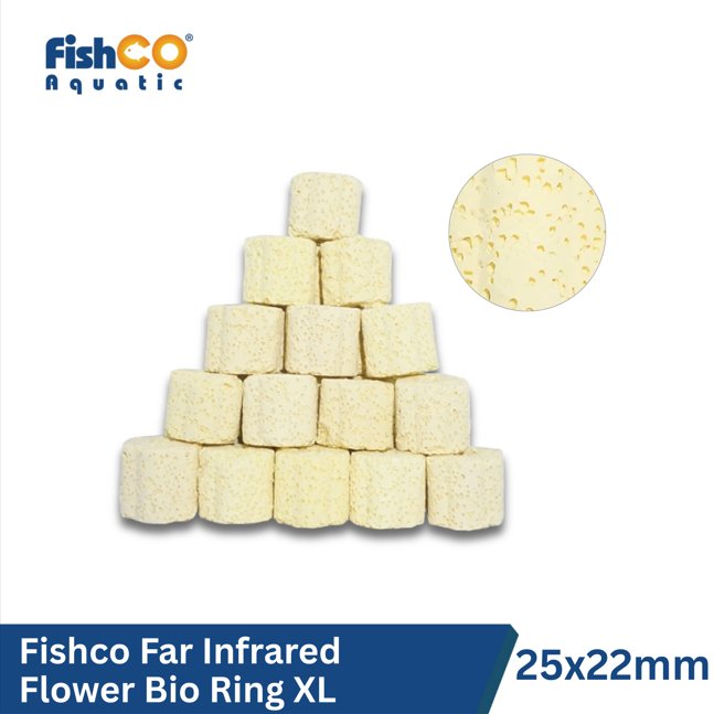 id-11134207-822wh-mm5ovke9brbj16 (1)