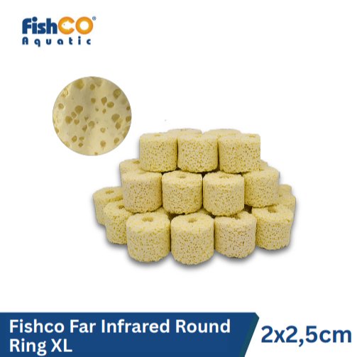 id-11134207-822wi-mm5x2shf203sbb