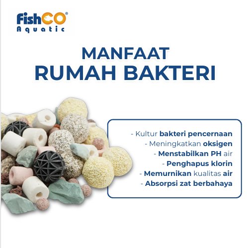 id-11134207-822wu-mmcvesq9afwhc8