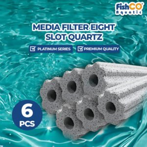 Media Filter Eight Slot Quartz Bacteria House