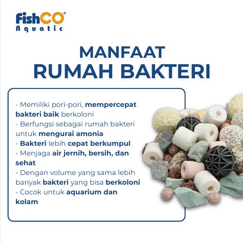 id-11134207-822wn-mmd224gi9dsff4