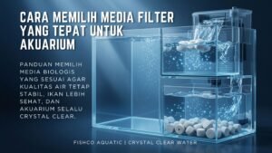 cara memilih media filter akuarium