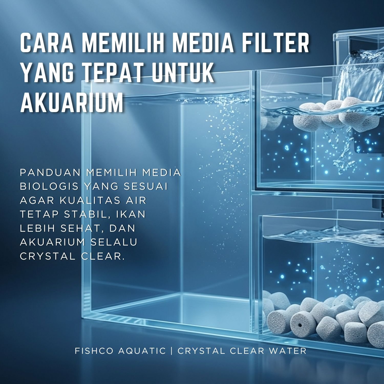cara memilih media filter akuarium